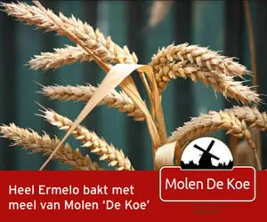 banner molendekoe2020