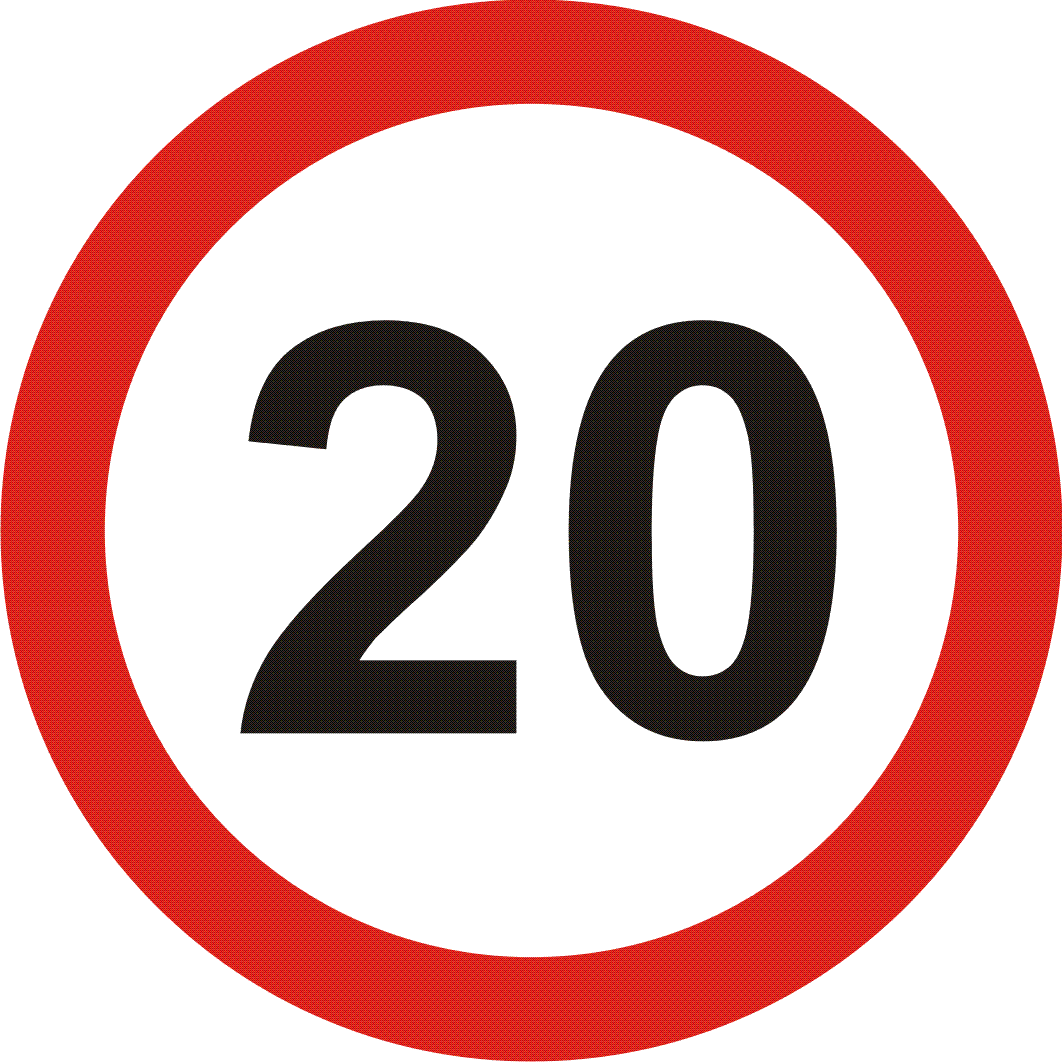 20 006