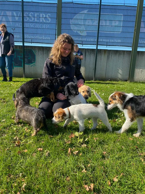 277224978 345811884155510 6945289512299305453 n