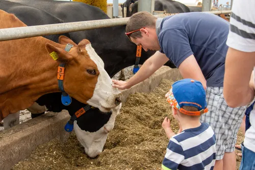 campina open boerderijdag 13