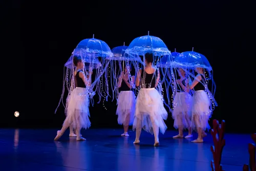 de nobelaer dansvoorstelling 2023 cad van den wijngaart
