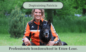 dogtrainingpatricia3