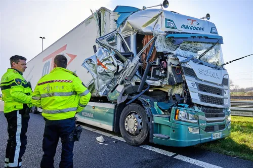 download scaled 1000x1000 82281