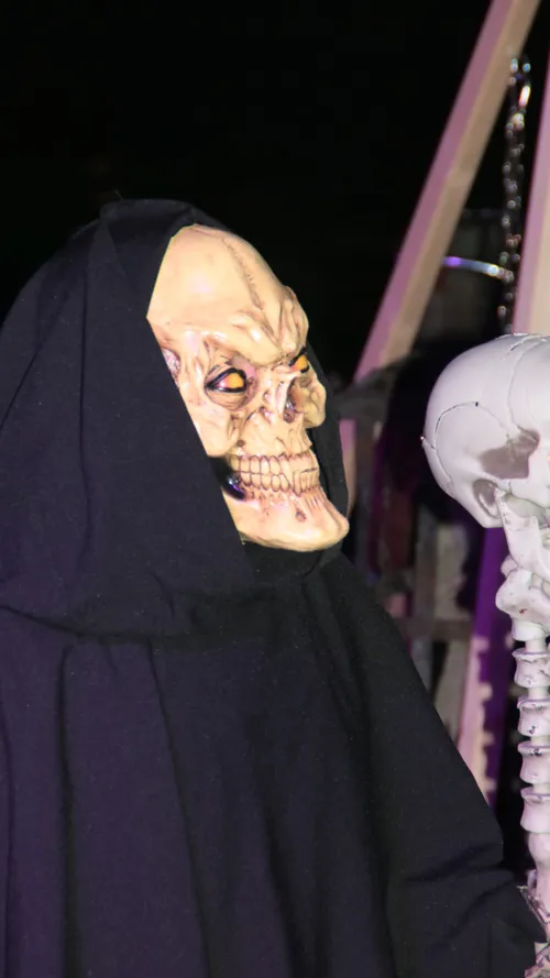 img 7714 e1541020632475