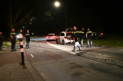 perry roovers 20220326032903 4