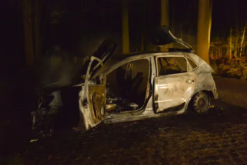 perry roovers 20220408013301 3