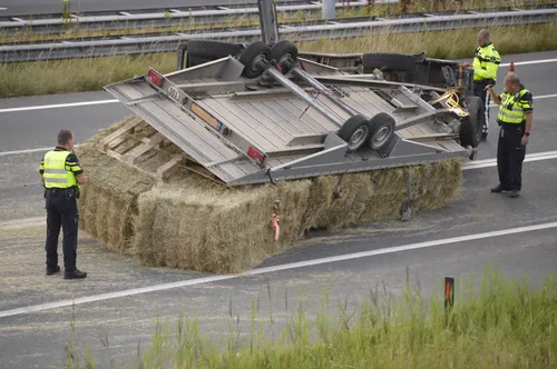 perry roovers 20220728200022 0