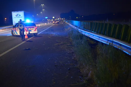 perry roovers 20220817013209 1