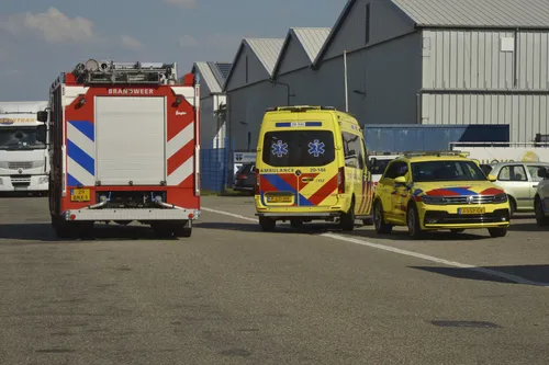 perry roovers 20220824143148 4