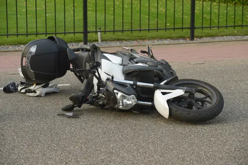 perry roovers 20220825171012 5