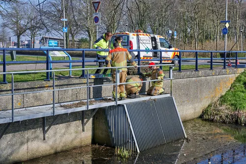 tom van der put 20220305144928 2