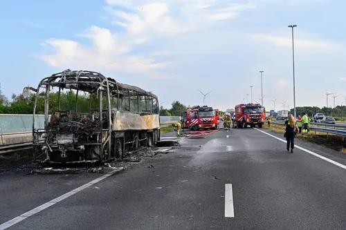 tom van der put 20220824165627 0 1