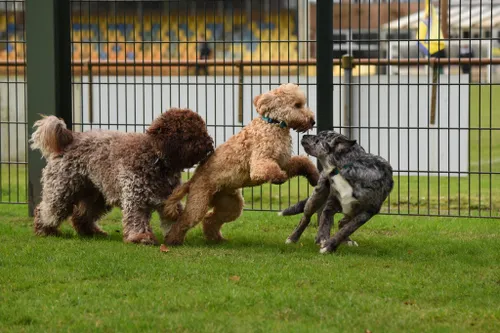 whatsapp image 2022 03 09 at 50620 pm