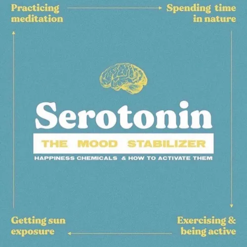 135065781 253796662844127 1956718623551391935 n