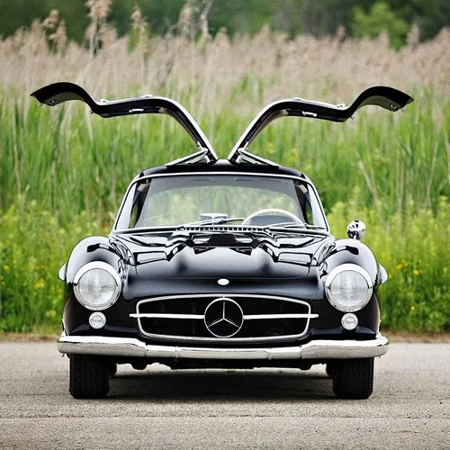 204302435 1763569383838596 8672748649389837197 n