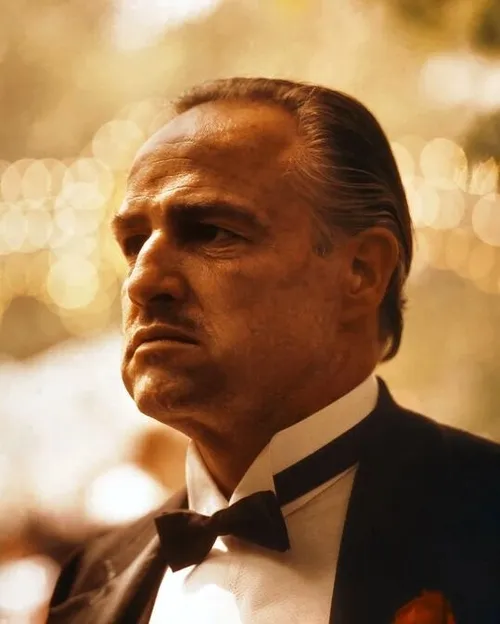 336105448 913938216535267 3883637372818573475 n