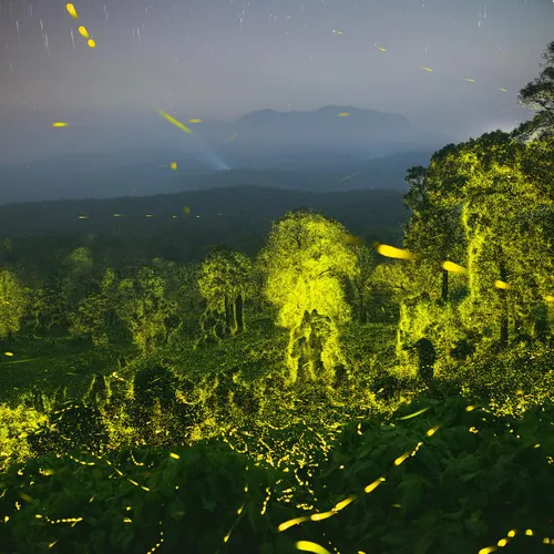 380625063 18371369605067229 2565808837287707654 n