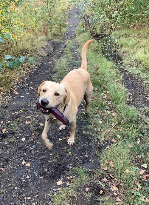 4 pay kennedy news and media