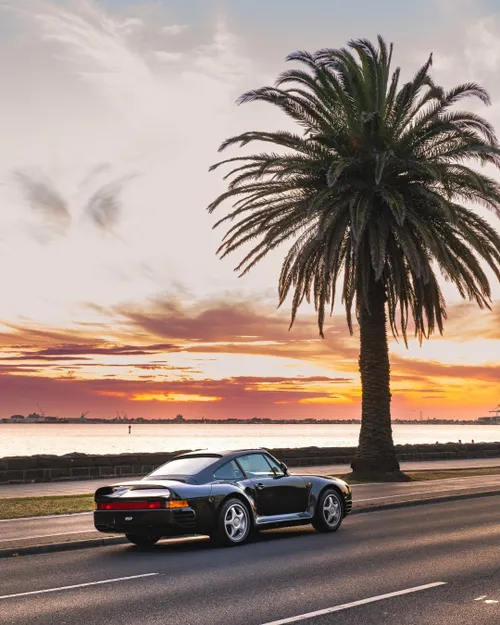 401274015 235094129403847 3261580166458516863 n