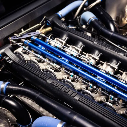 407479987 1643821032693329 2228501139823150815 n