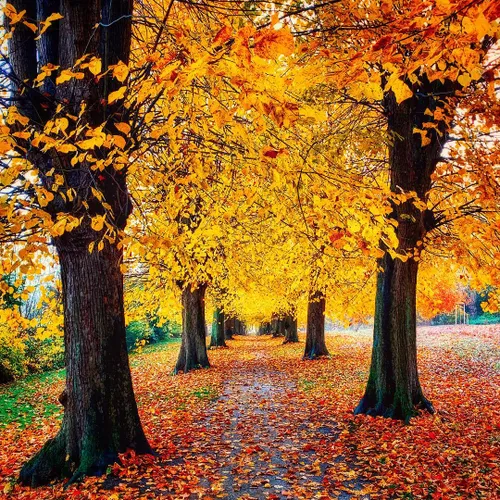 43575717 1935196289923036 3649364960064597481 n