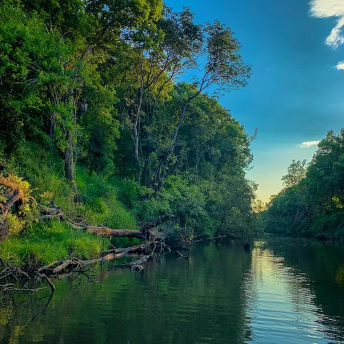 44516111 1510019452477989 2680320894090104777 n