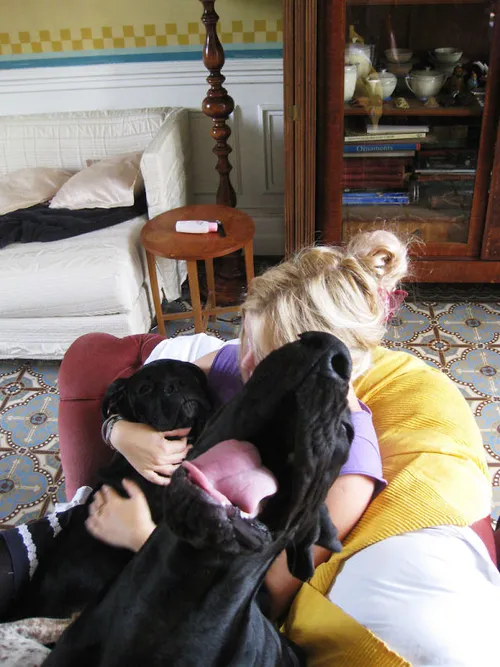 58edc96357d85 rex8c 605