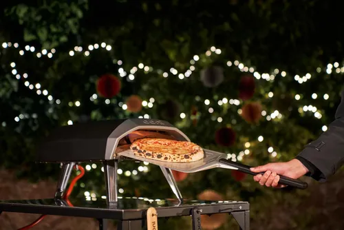 61ninptwi5l ac sl1499