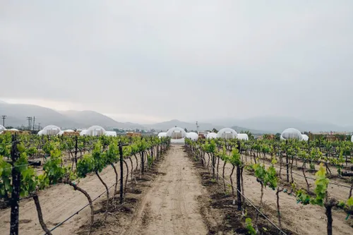 6afc9165 5845 496d 8702 c2d2924c462d 1024x683