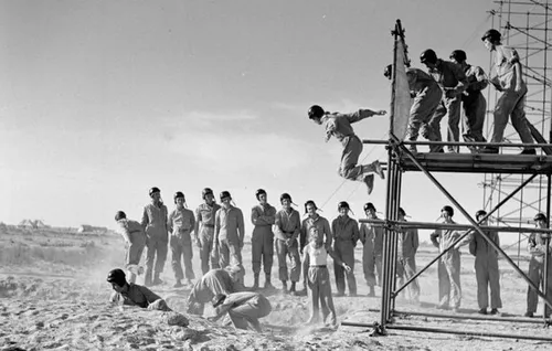 74f177d6 0e62 4d69 a398 a707379141bd