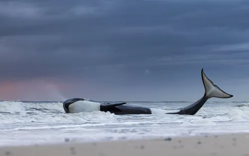 9198176aba4bb045b23d7215d36d74b8c796b7a5 2 1