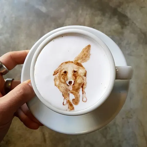 artistic barista from korea who draws art on coffee 5912bf049eb75 700