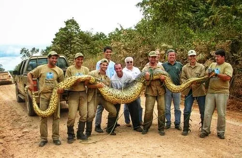 b4c7ca67e13eecab93751c61b2c339b7 2