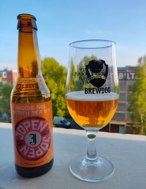bier tijmen w