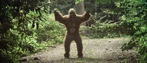 bigfoot