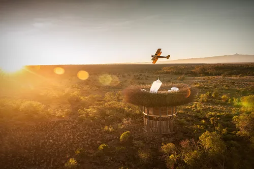 birds nest safari hotel kenya 04