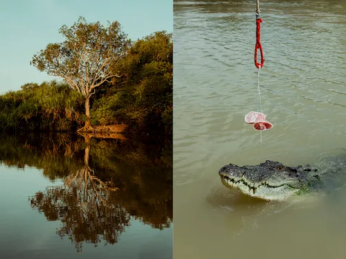 carrie jones dream world 6