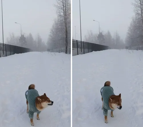 cold in russia 2020 21 5feee88054fe7 700