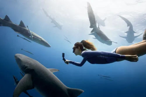 dji action cam fhm 05