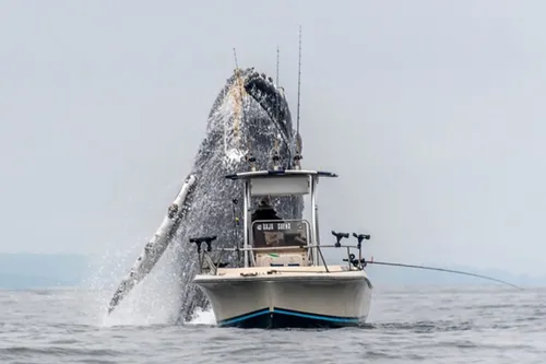 douglas croft1jpg 1024x682