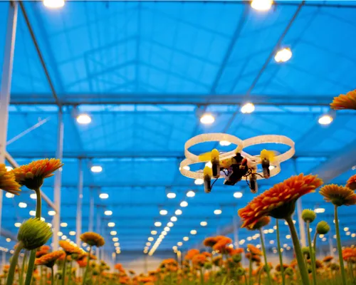 drone mooooooi scaled