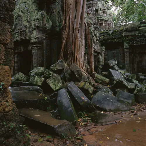 evgeny nelmin qhepi qe9em unsplash 1024x1024