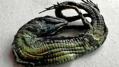 f56fd7f2 7fb6 11ed 91ce 0255c322e81b 1