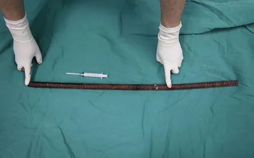 fe5b54925a78de2df00fb34eb8367411