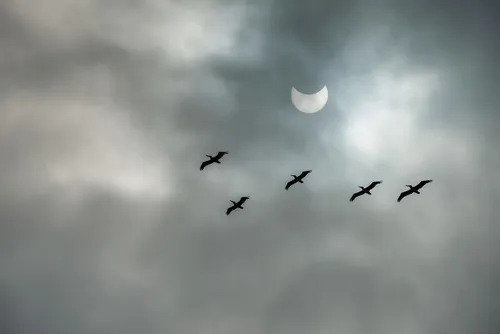 fhm zonsverduistering17