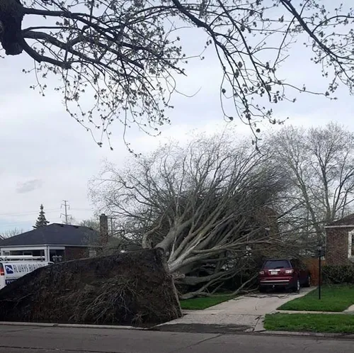 funny fails bad luck 33 5b991bbdd35e8 605