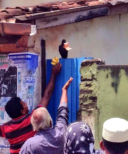 funny fails bad luck 33 5b9b70b925bbd 605