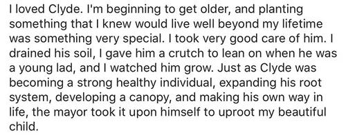 giant sequoia tree mayor revenge story 4