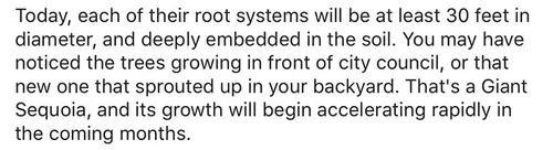 giant sequoia tree mayor revenge story 6