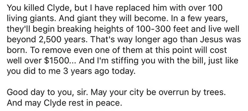 giant sequoia tree mayor revenge story 7